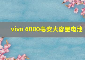 vivo 6000毫安大容量电池